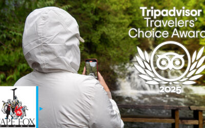 Cape Fox Tours Honored with a 2025 Travelers’ Choice Award