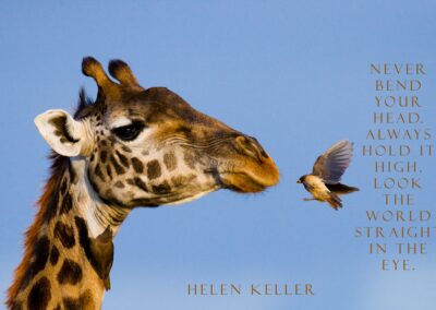 Inspirational Helen Keller